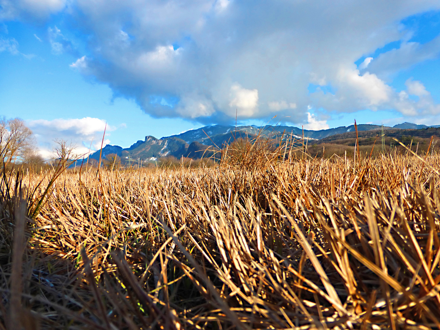 Winter sieht anders aus