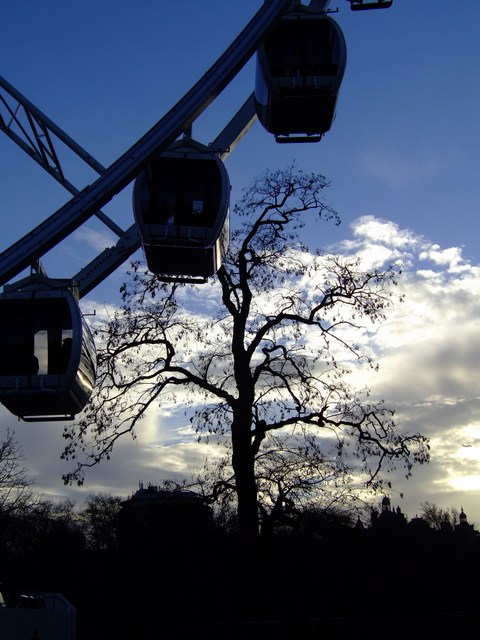 winter silhouette