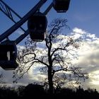 winter silhouette