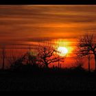 winter silhouettes