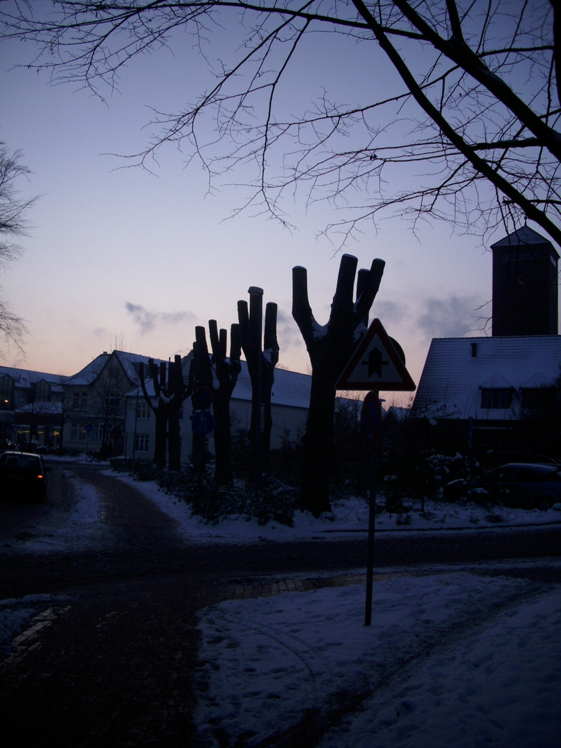 winter silhouettes