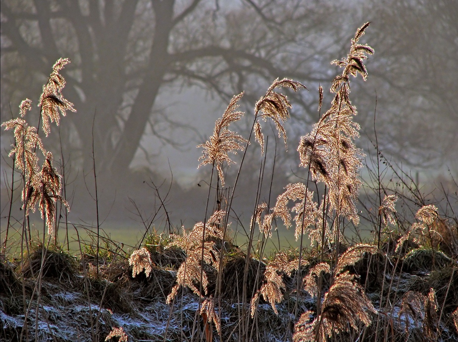 Winter-Sinfonie