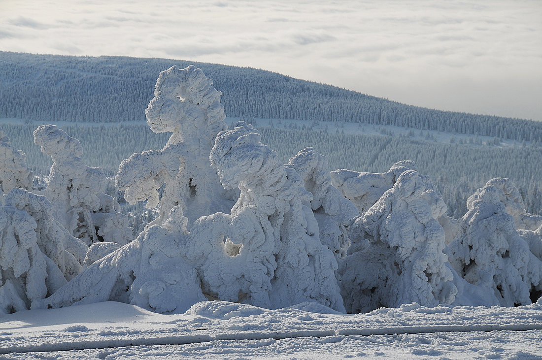 Winter Skulpturen auf den Brocken