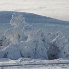 Winter Skulpturen auf den Brocken