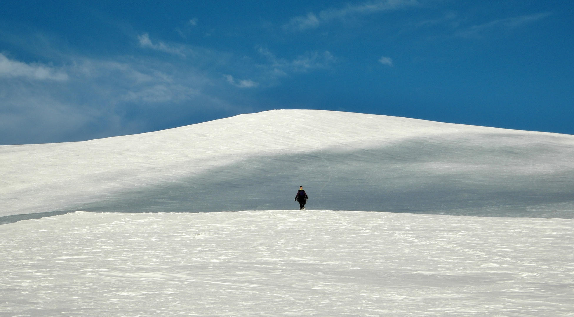 Winter Snow Shoeing