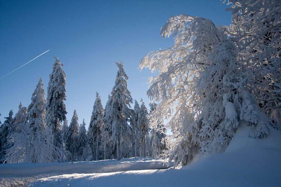 Winter-so schön kann er sein