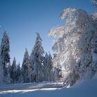 Winter-so schön kann er sein