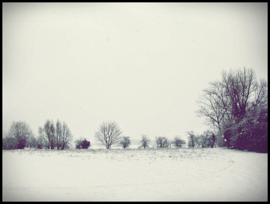 :winter solitude II: