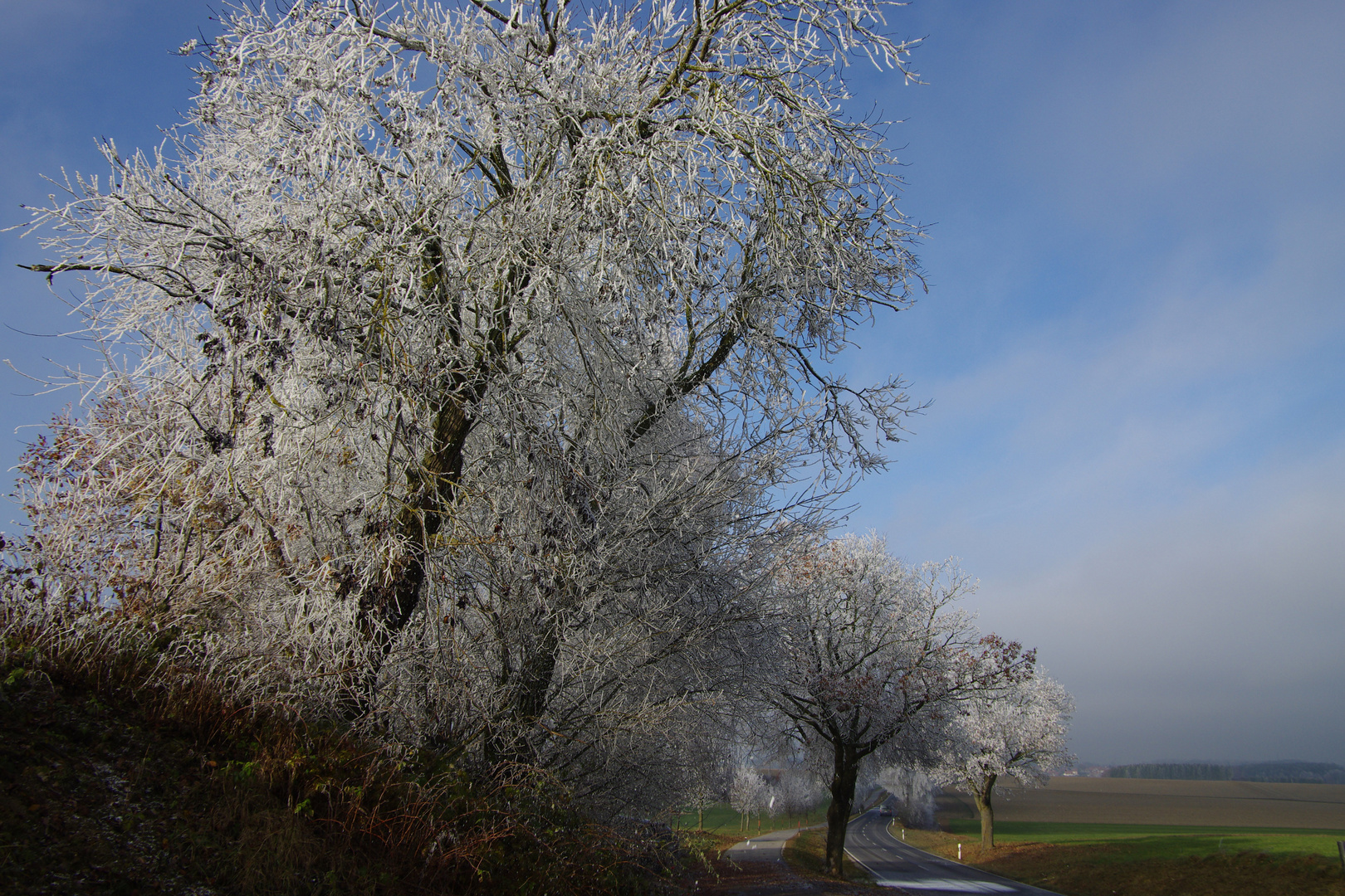 Winter-Sommer ?