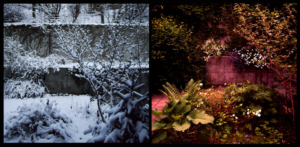 winter-sommer vor meinem fenster