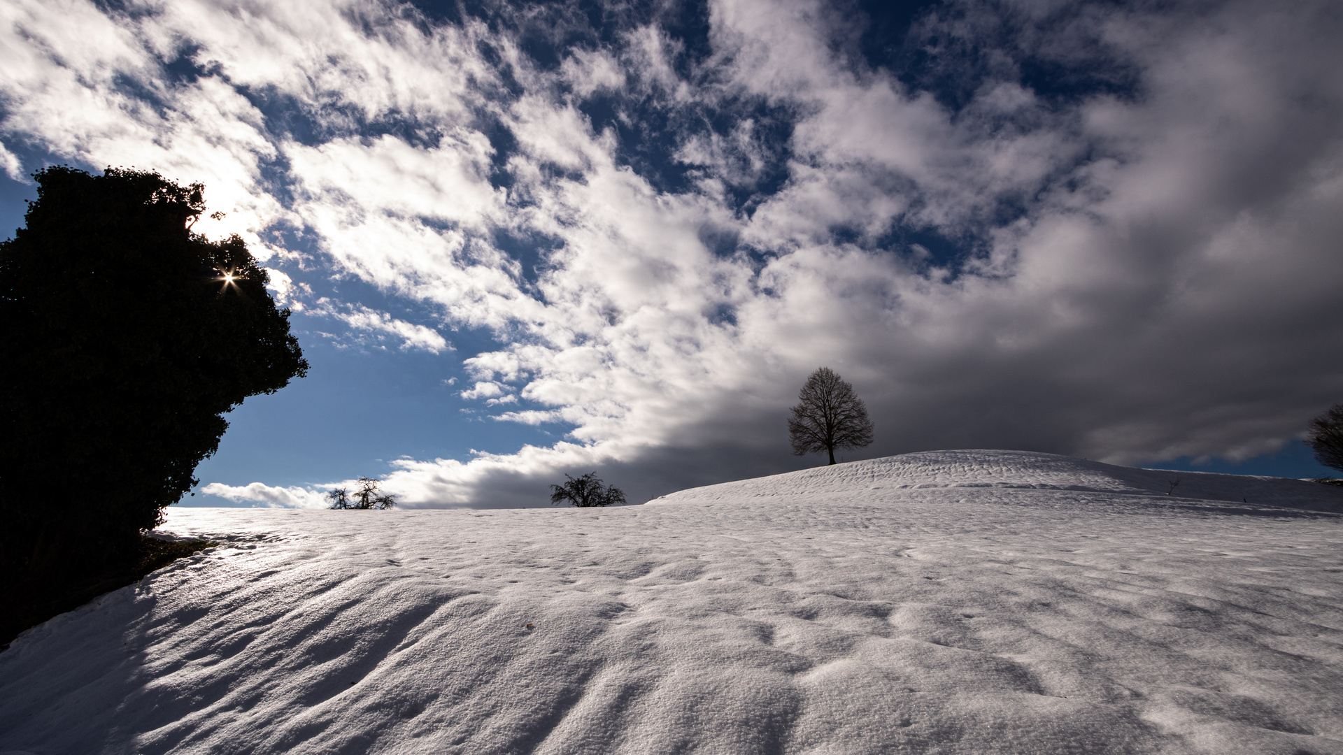 winter sonne