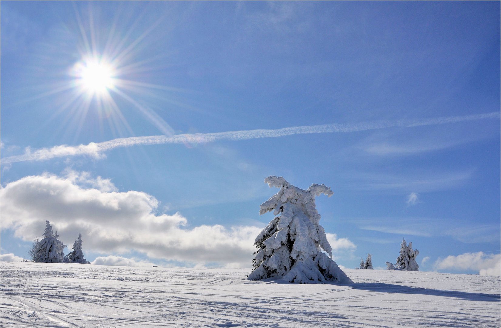 Winter - SONNE