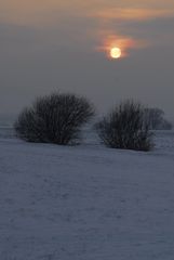 Winter-Sonne 2