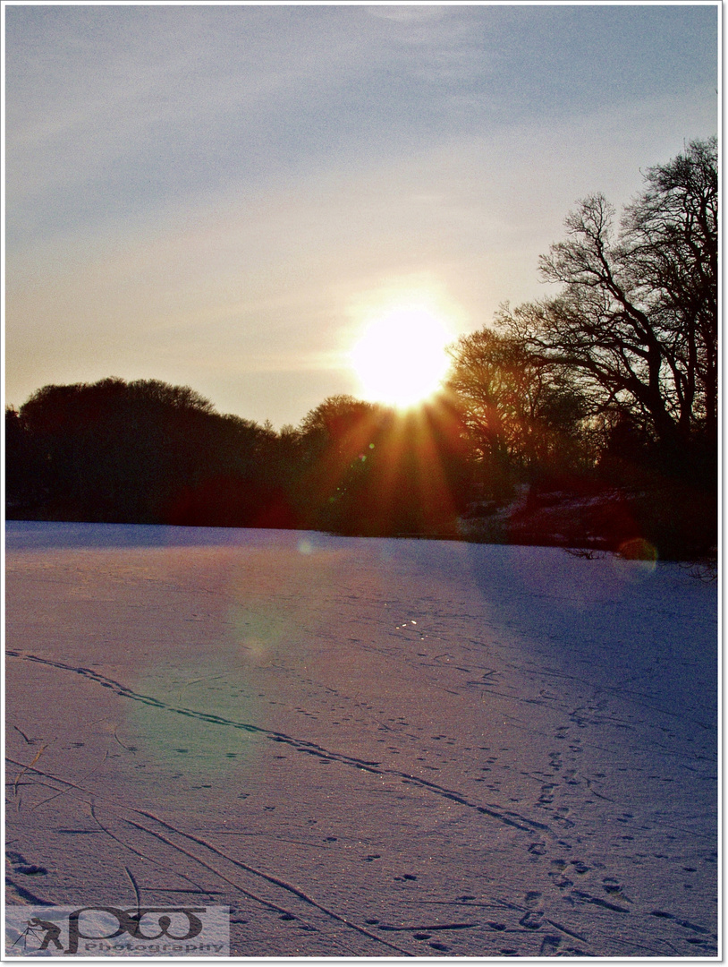 Winter Sonne 2012