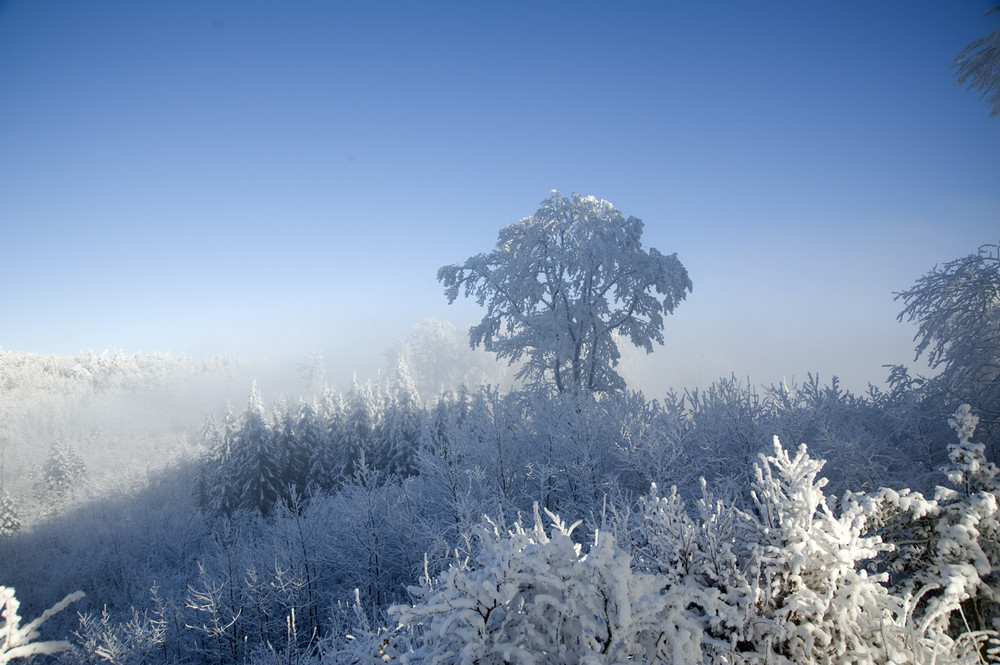 Winter-Sonne