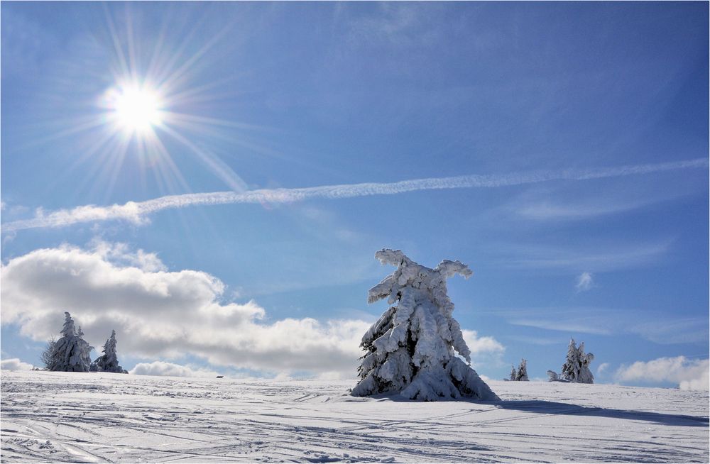 Winter - SONNE