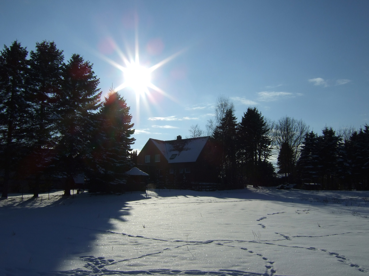 Winter-Sonne
