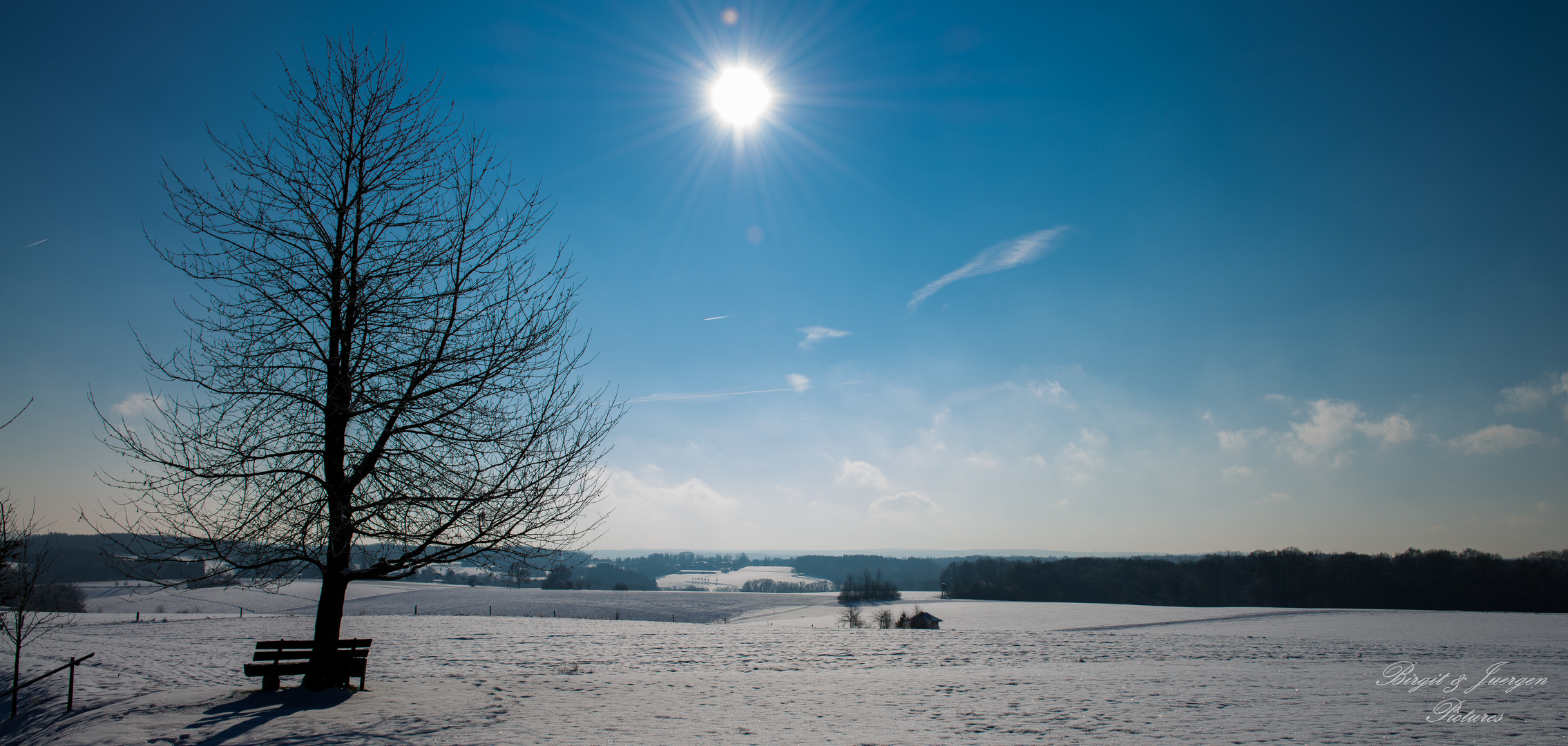 Winter Sonne