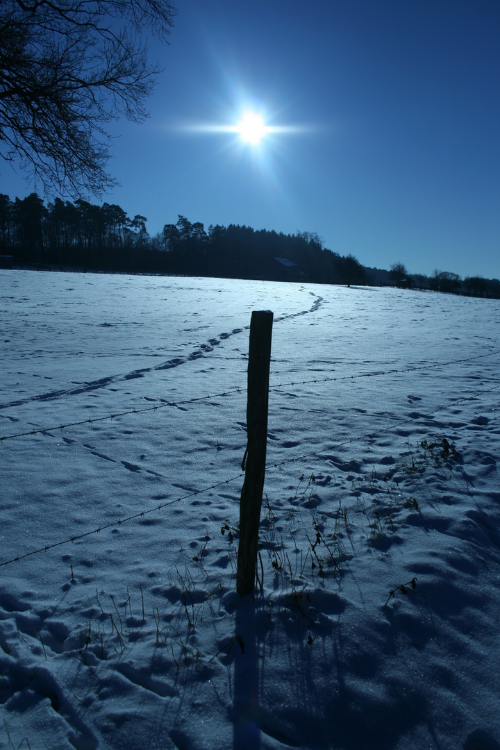 Winter-Sonne