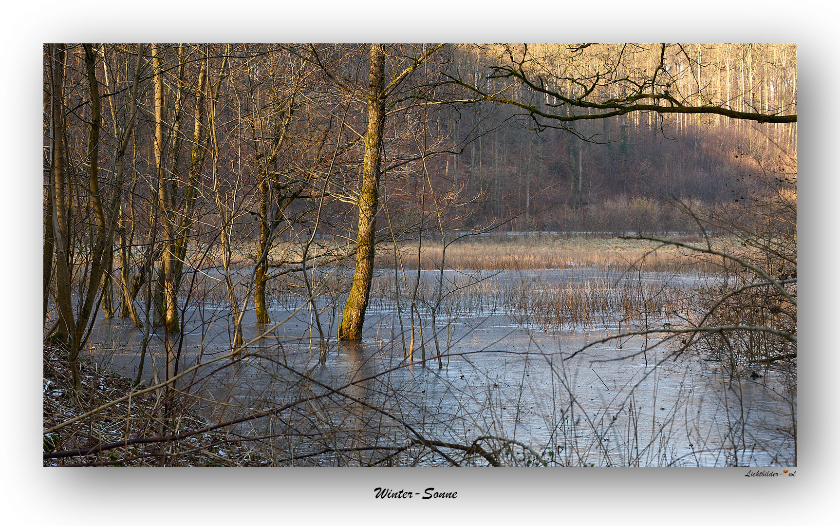 Winter-Sonne