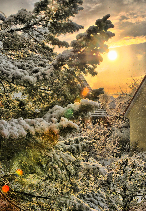 Winter Sonne in HDR