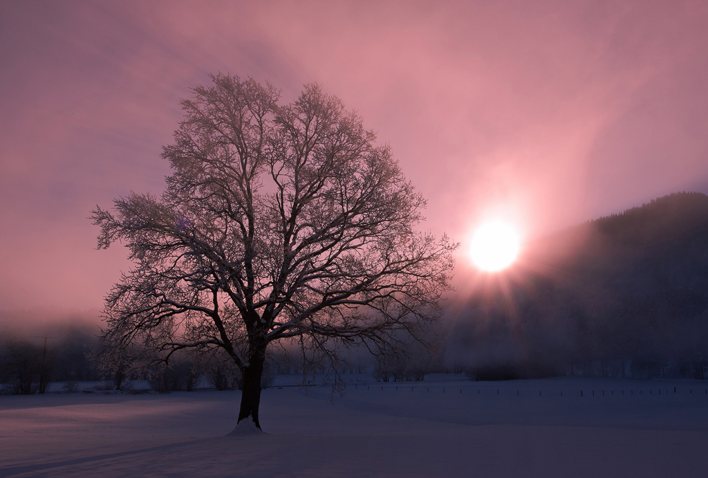 Winter Sonnenaufgang