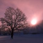 Winter Sonnenaufgang