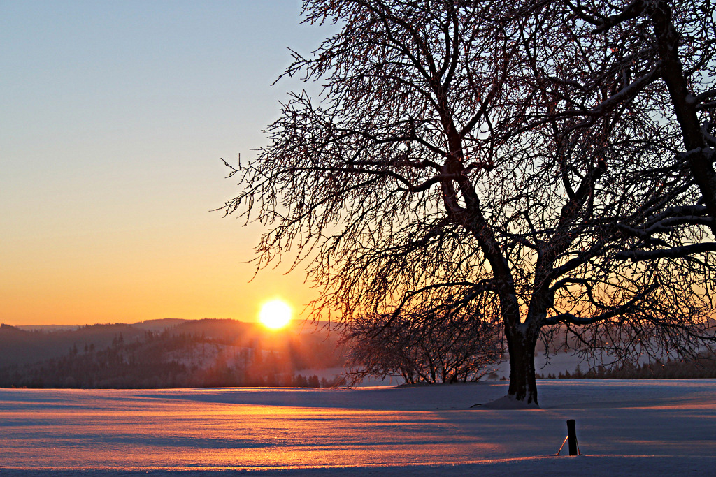 Winter Sonnenaufgang