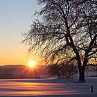 Winter Sonnenaufgang