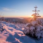 Winter-Sonnenaufgang im Schwarzwald