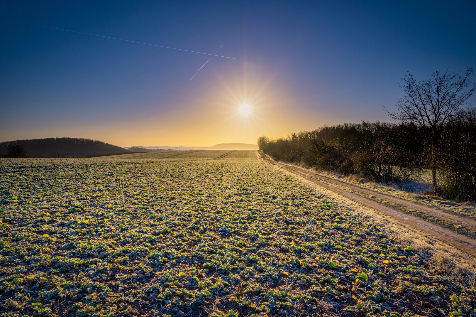 Winter Sonnenaufgang Landschaft mit Baum und Feldweg.