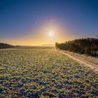 Winter Sonnenaufgang Landschaft mit Baum und Feldweg.