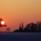 Winter-Sonnenschein