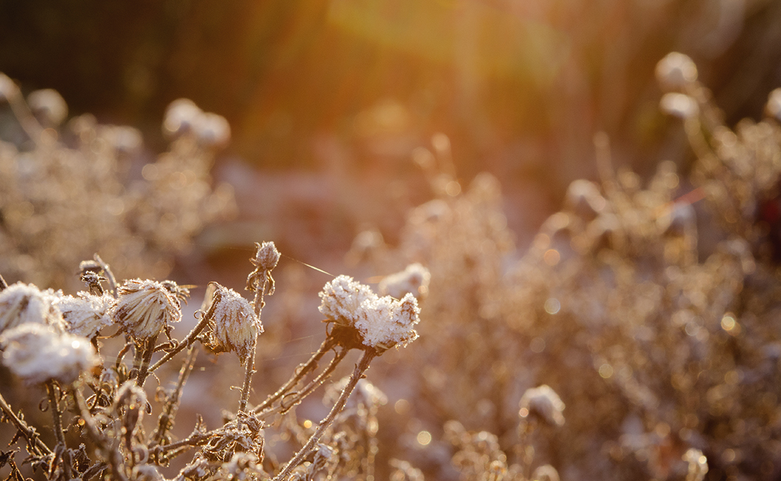 Winter-Sonnenstunden...!!!