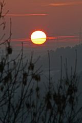 Winter-Sonnenuntergang (1)