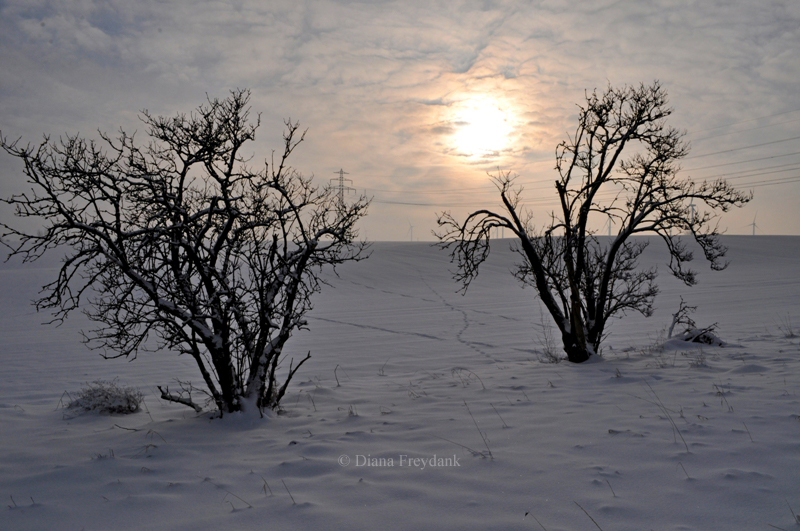 Winter Sonnenuntergang