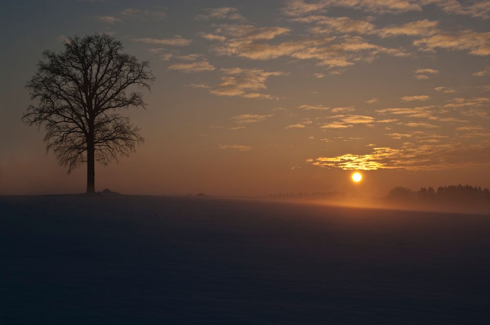 Winter-Sonnenuntergang von Fotokamra 