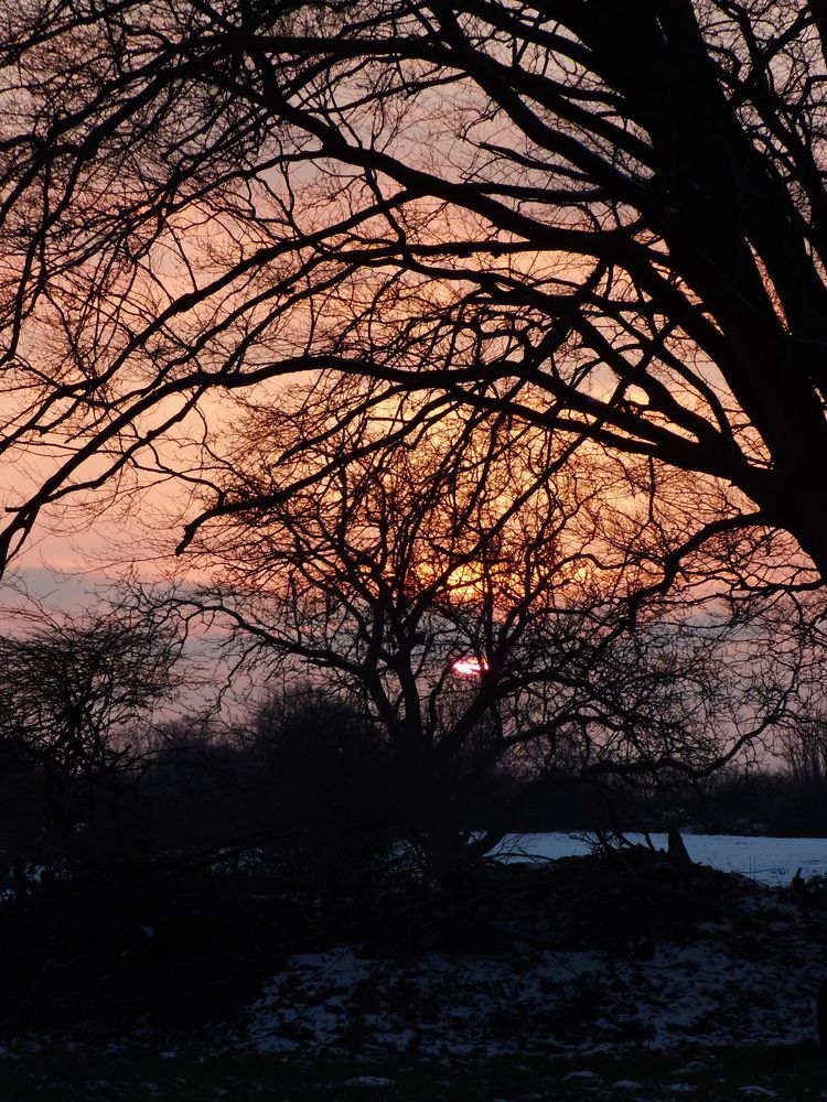 Winter - Sonnenuntergang