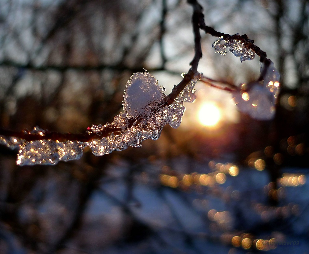 Winter Sonnenuntergang auf den Tiefwerder Wiesen