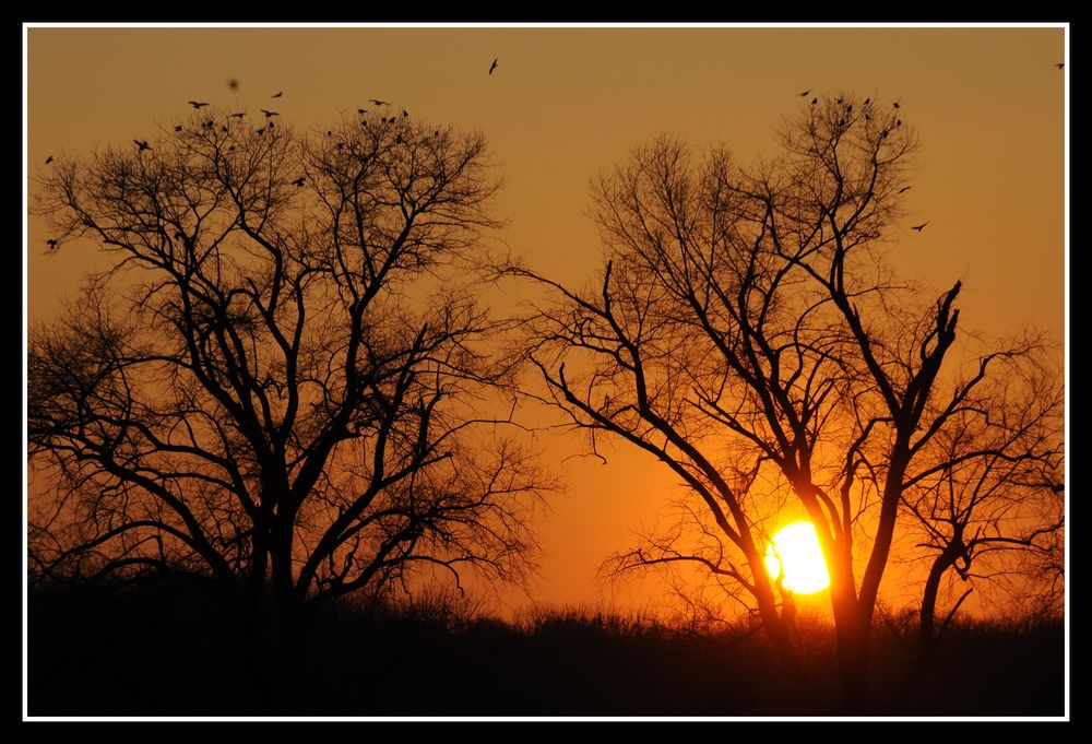 Winter-Sonnenuntergang