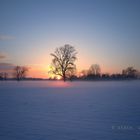 Winter-Sonnenuntergang in der Siegaue - Troisdorf