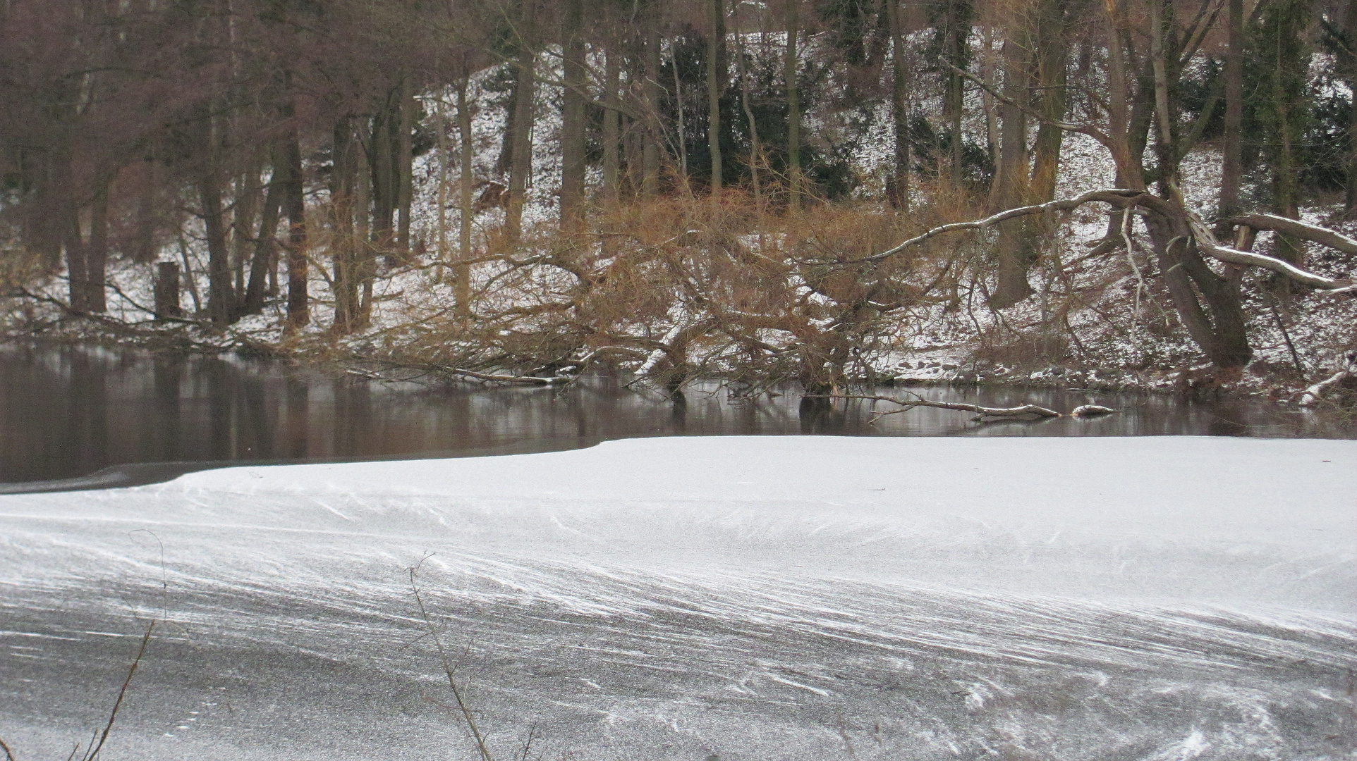 Winter Sonntag am See 2