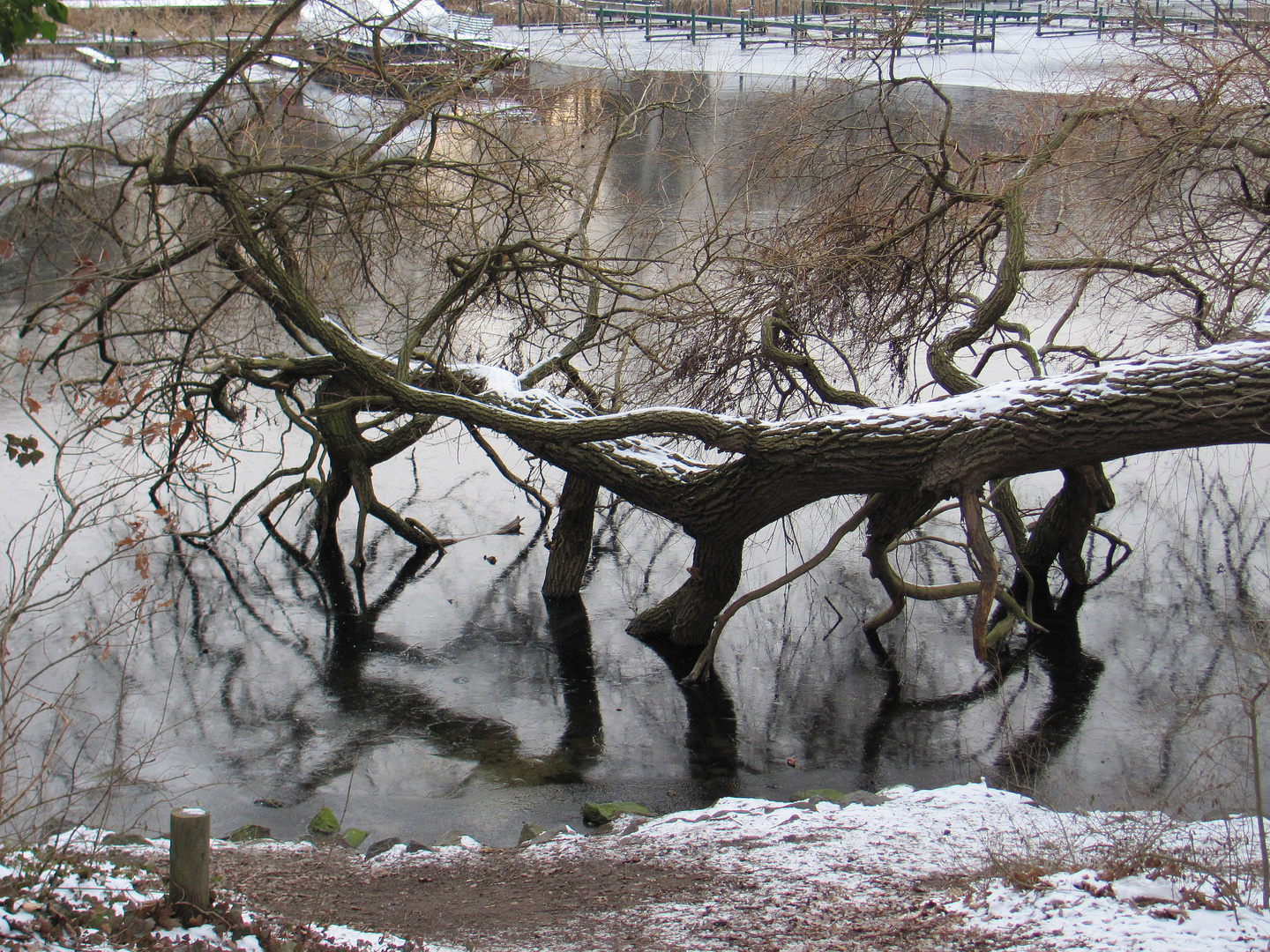 Winter Sonntag am See 3