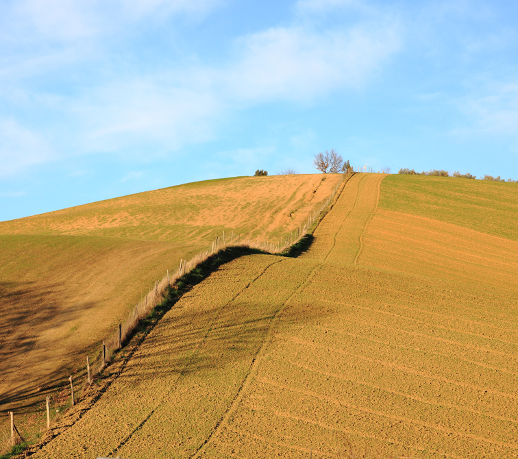 winter sowing 2