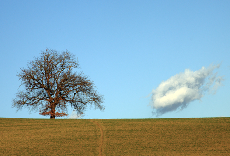 winter sowing