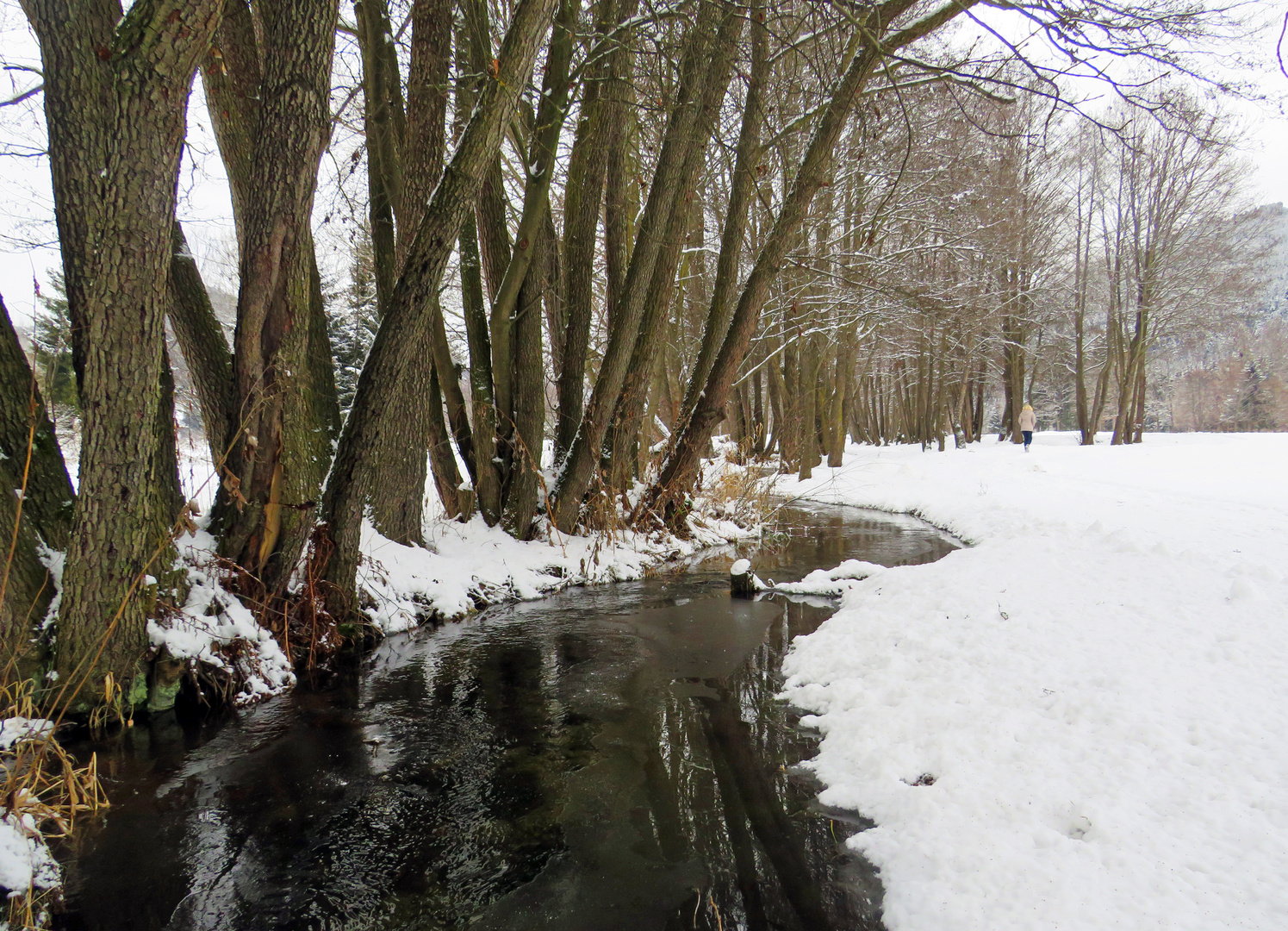 Winter Spaziergang...