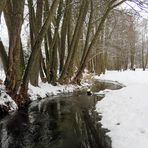 Winter Spaziergang...