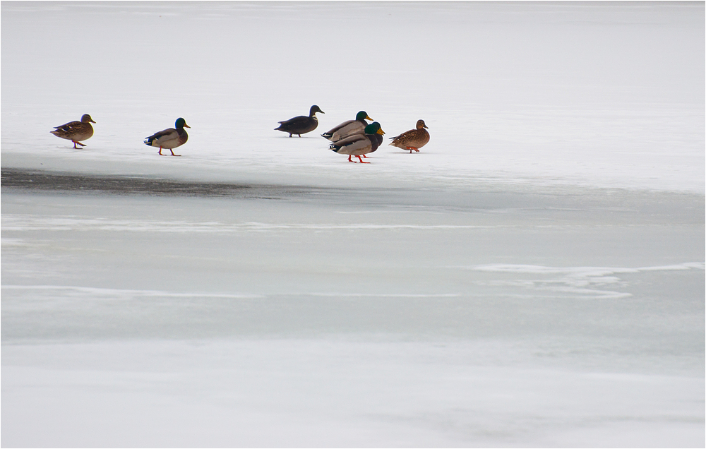 Winter - Spaziergang