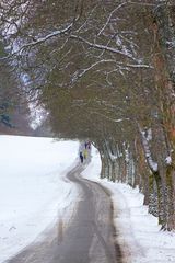 Winter Spaziergang.