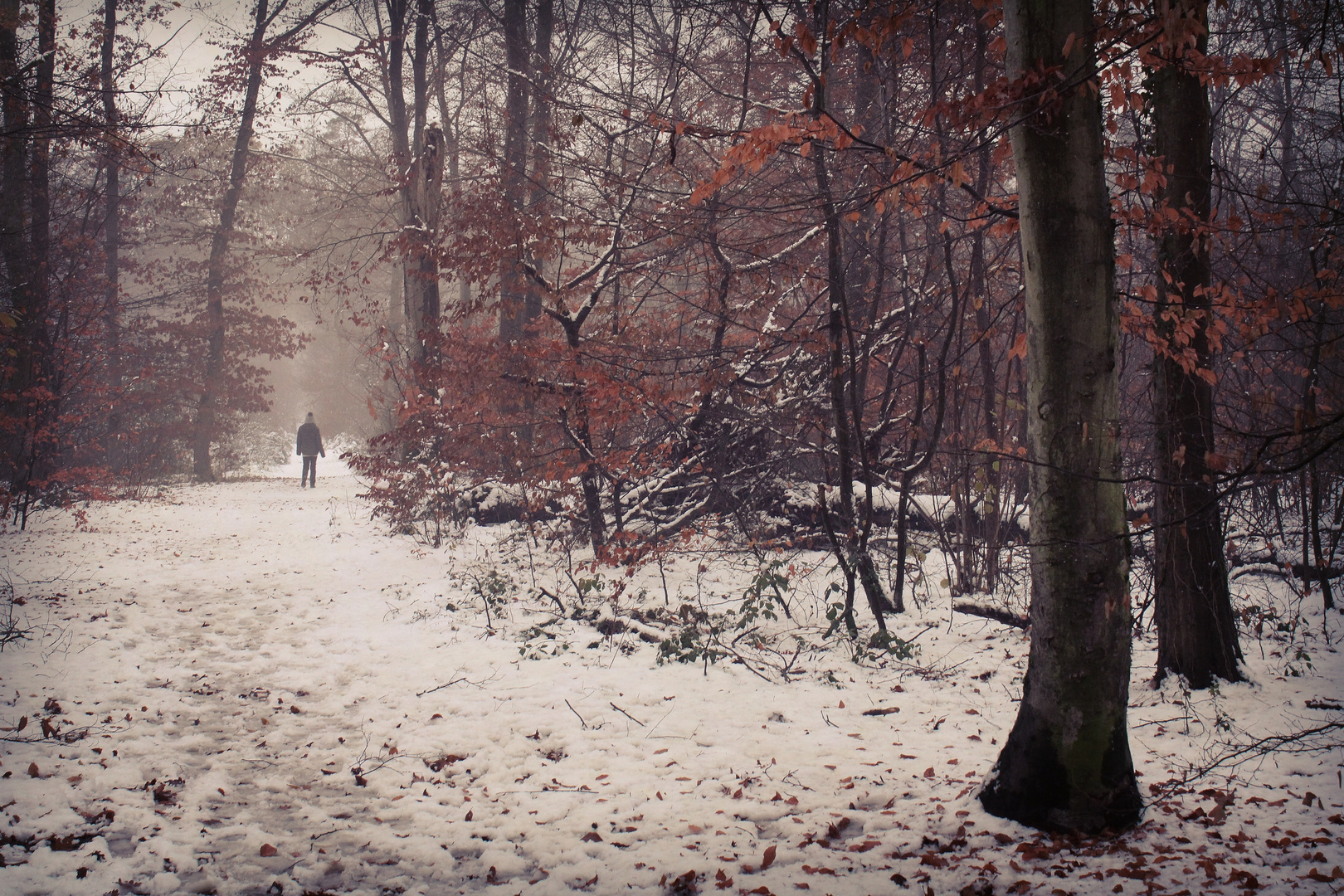 Winter Spaziergang 